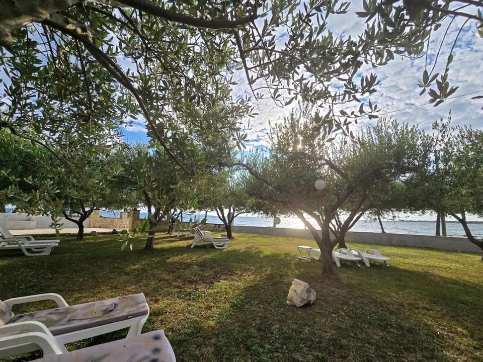 Olea 1930 - Room For 2 With Sea View And a Balcony Apartment in Zadar County