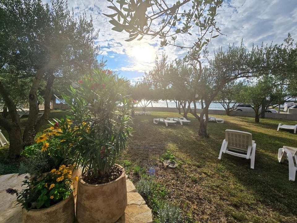 Olea 1930 - Beachfront Room With 2 Single Beds Apartment in Zadar County