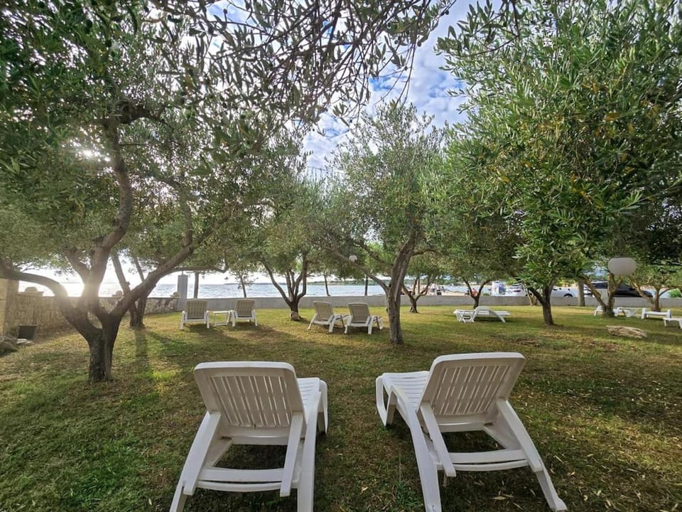 Olea 1930 - Beachfront Room With 2 Single Beds Apartment in Zadar County