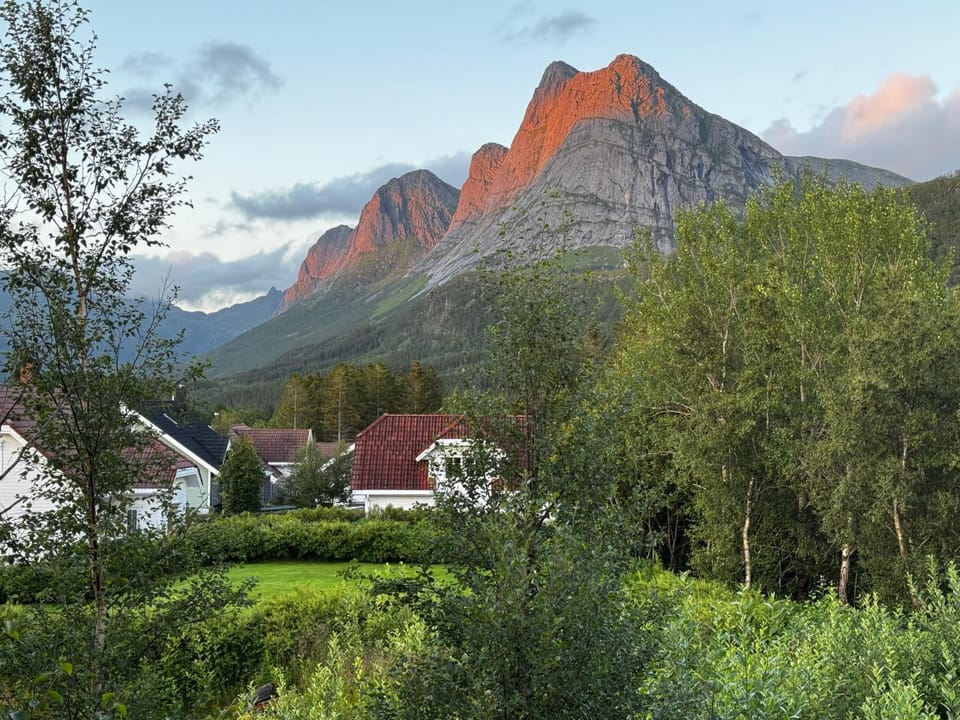 Mountain view