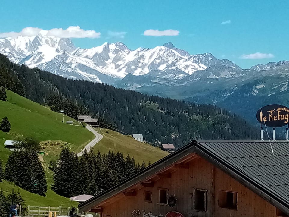 Les Fermes du Beaufortain Apartment in Villard-sur-Doron