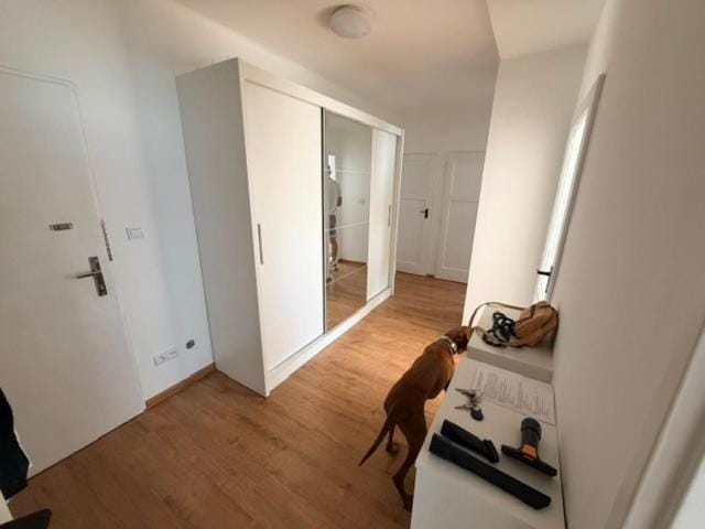Comfortable Apartment, Central Bratislava Apartment in Bratislava