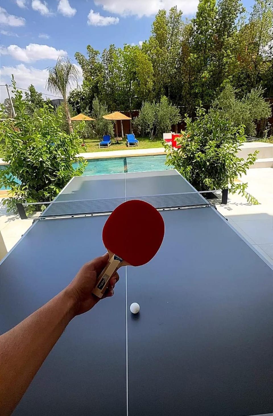 Villa with pool, ping pong table, trampoline Villa in Marrakesh-Safi
