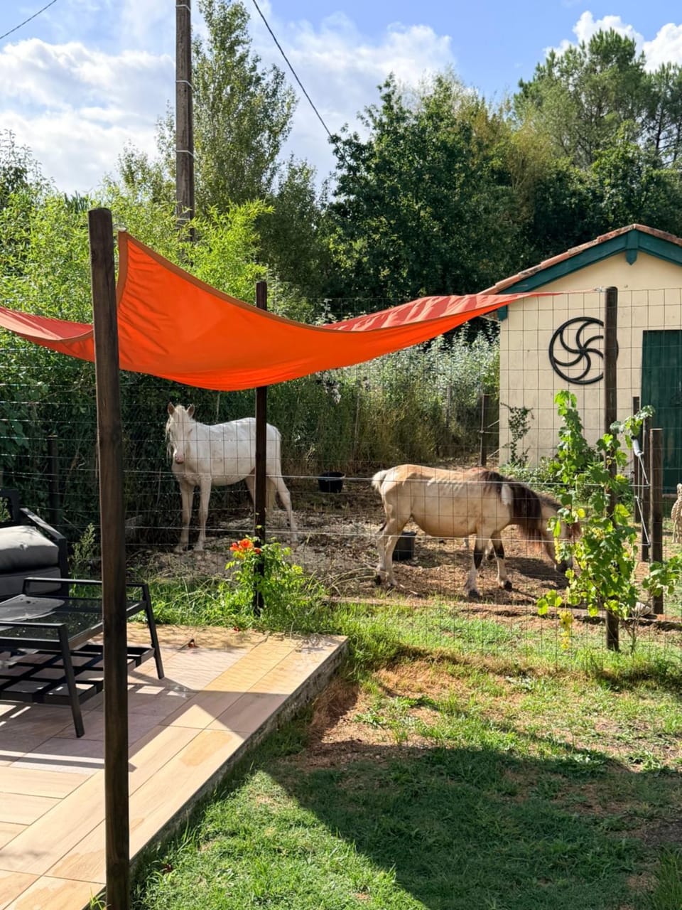 Garden, Animals, Garden view