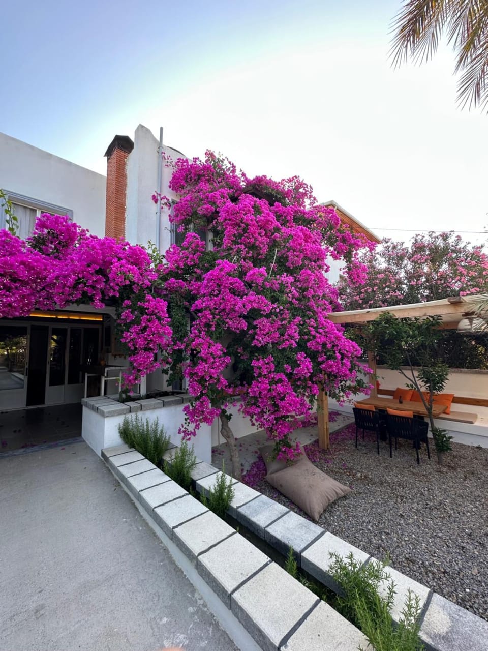 Mavi Lotus Pansiyon & Restorant Hotel in Muğla Province
