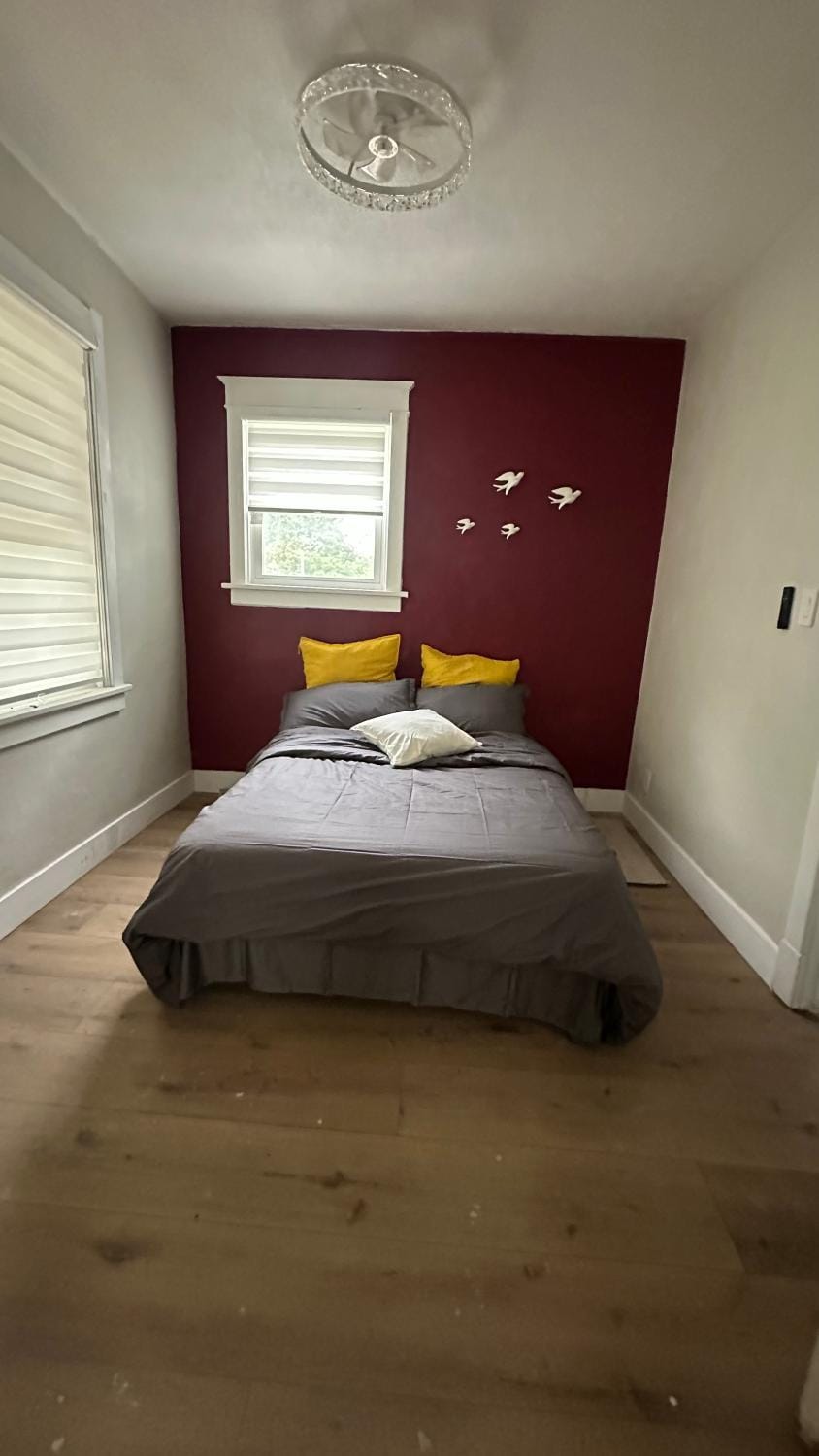 Newly Renovated Home Bed and Breakfast in University City