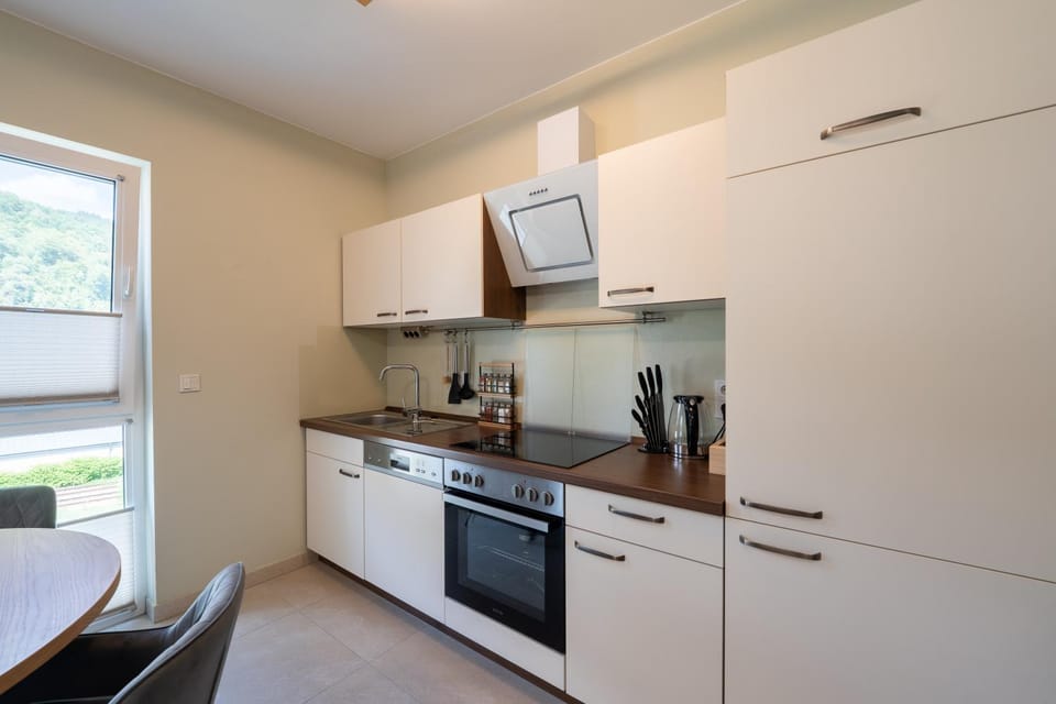Kitchen or kitchenette, dishwasher, kitchen
