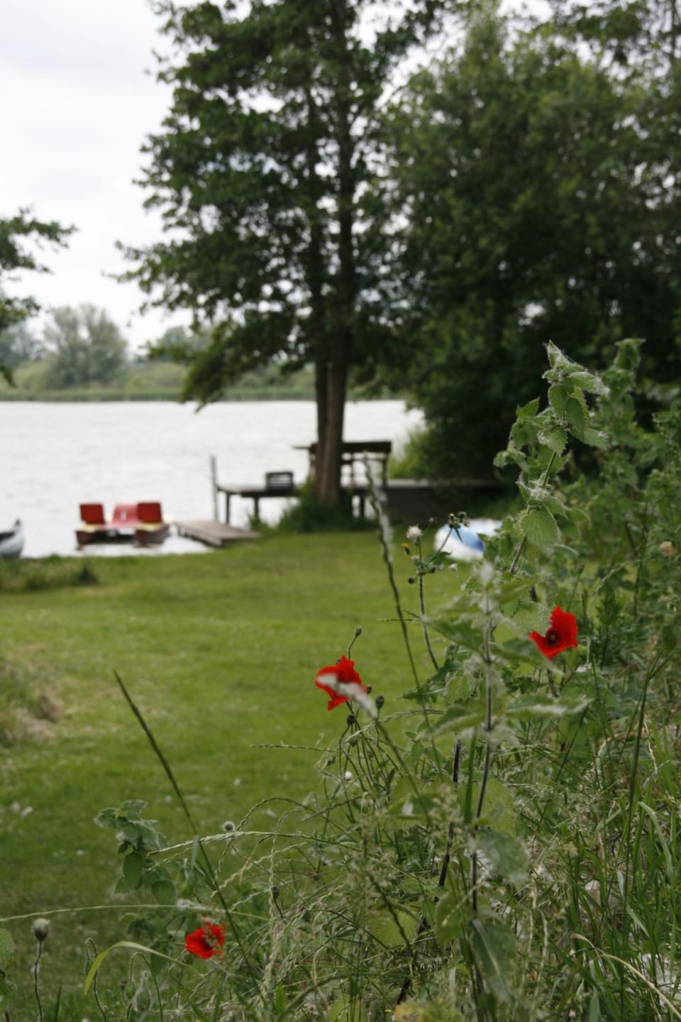Lake view