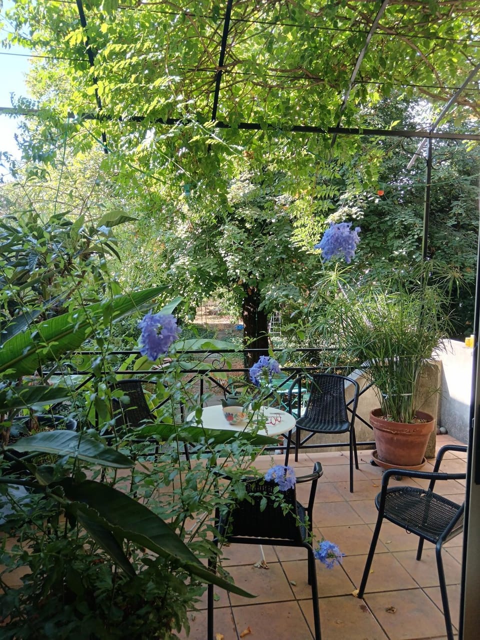 Chambres calmes chez l'habitant Bed and Breakfast in Cavaillon