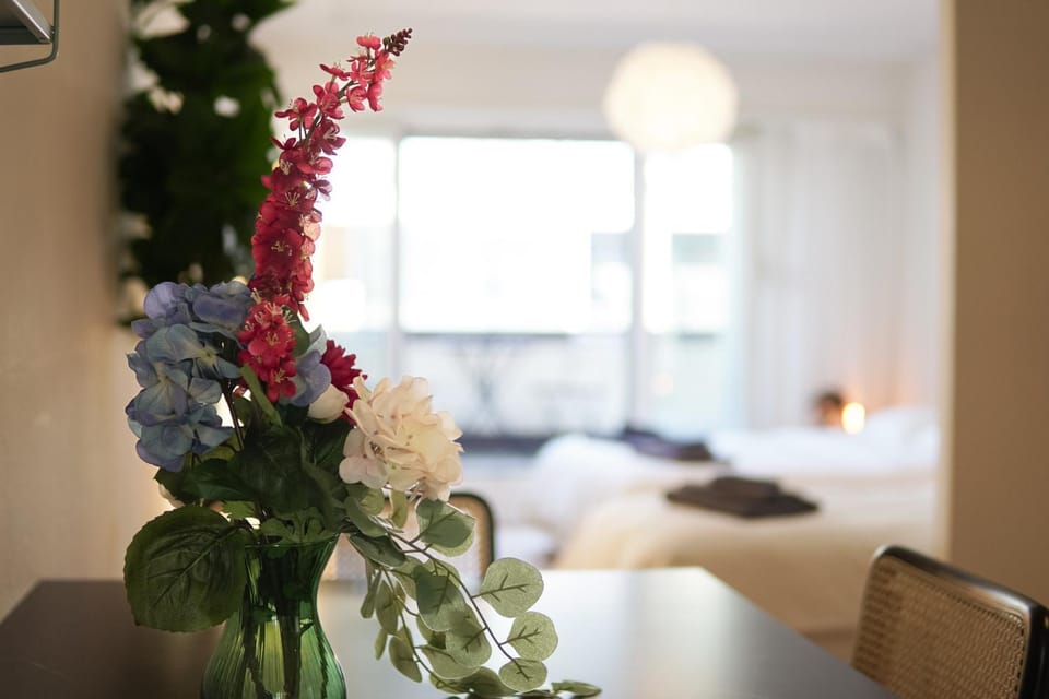 Penthouse with Two Balconies in the Heart of Basel Apartment in Saint-Louis