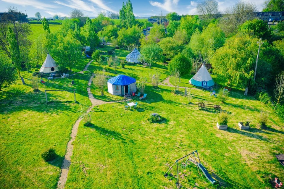 Natural landscape, Bird's eye view, Summer, Garden, View (from property/room), Garden view