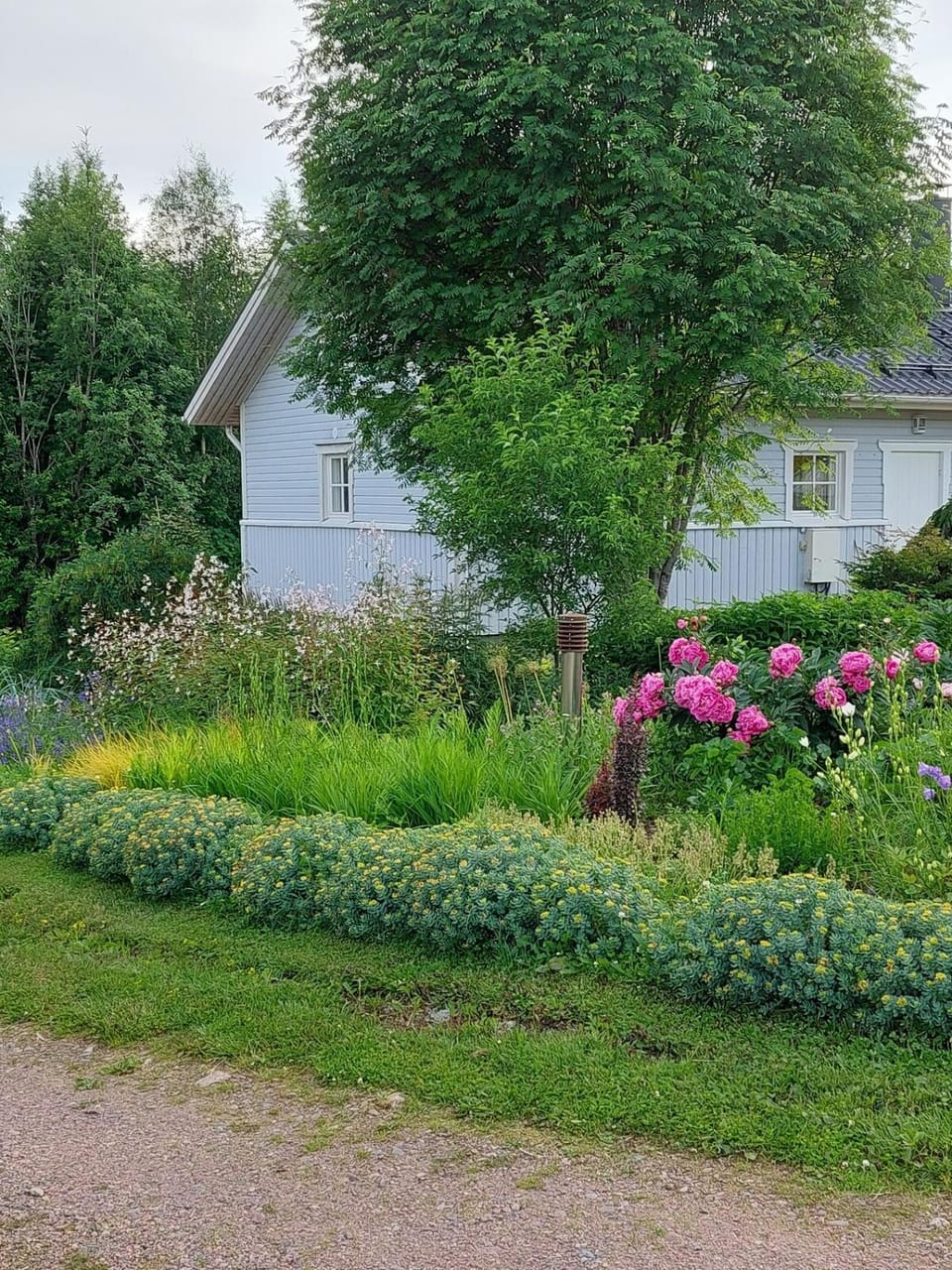 Garden view