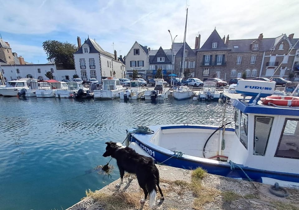 Ker Beo House in Le Croisic