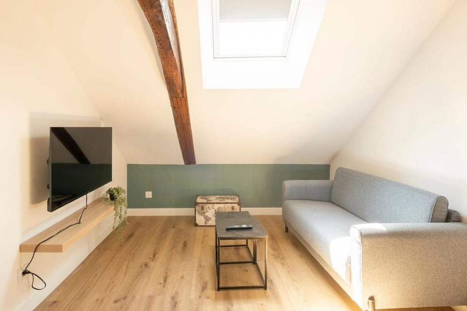 Le Road Trip # climatisé au centre historique Apartment in Bourgogne-Franche-Comté