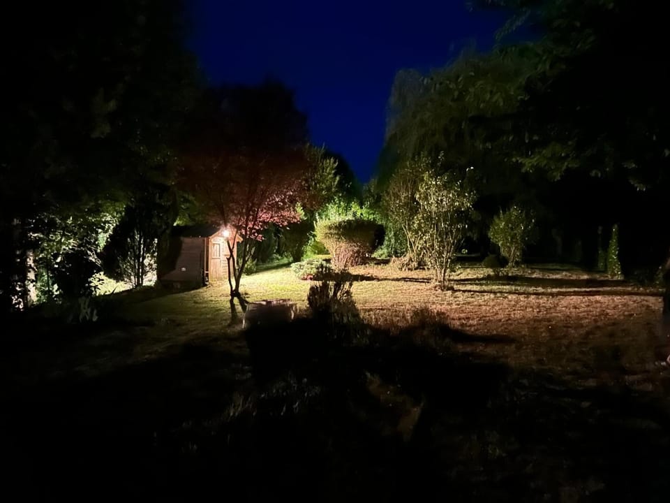 Night, Garden view