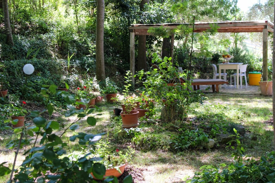 Garden, Garden view, Garden view