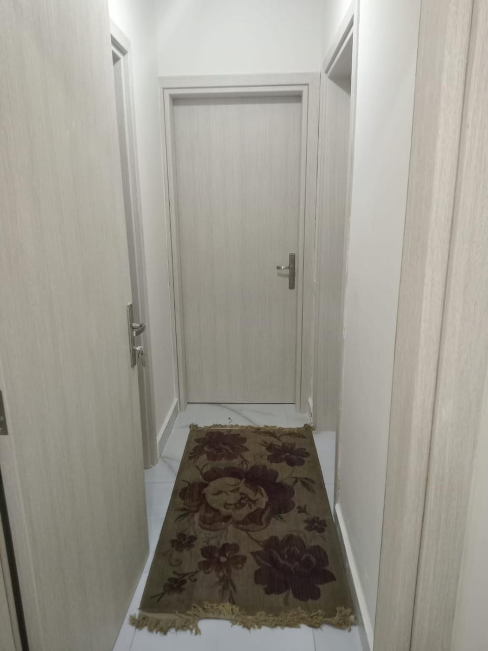 Down town fully furnished Bed and Breakfast in Egypt