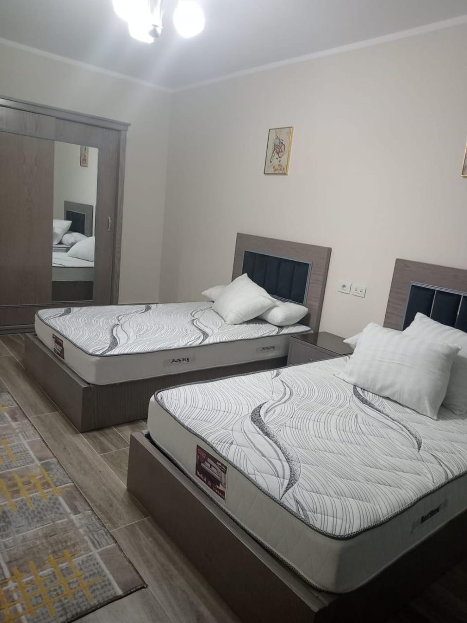 Down town fully furnished Bed and Breakfast in Egypt