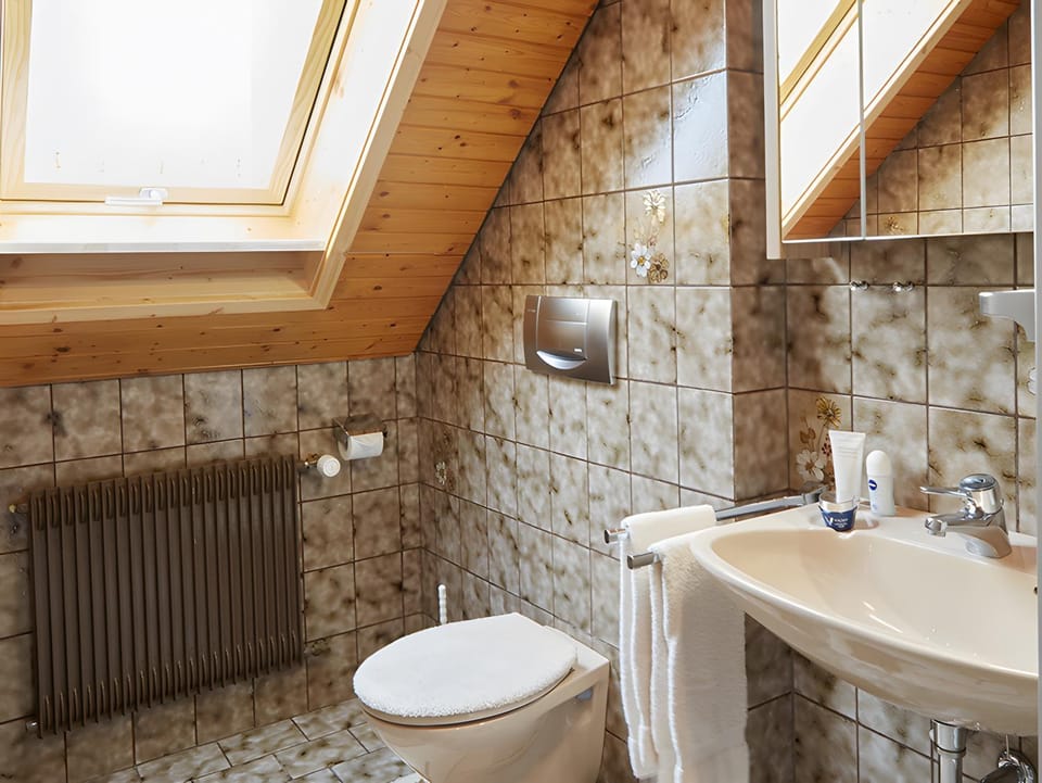 Bathroom, Living room