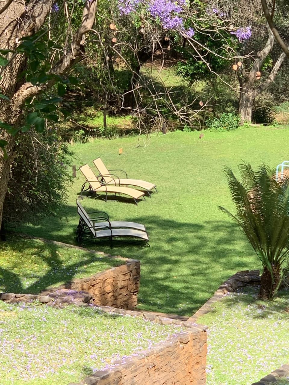 Lepêllê Lodge Nature lodge in South Africa