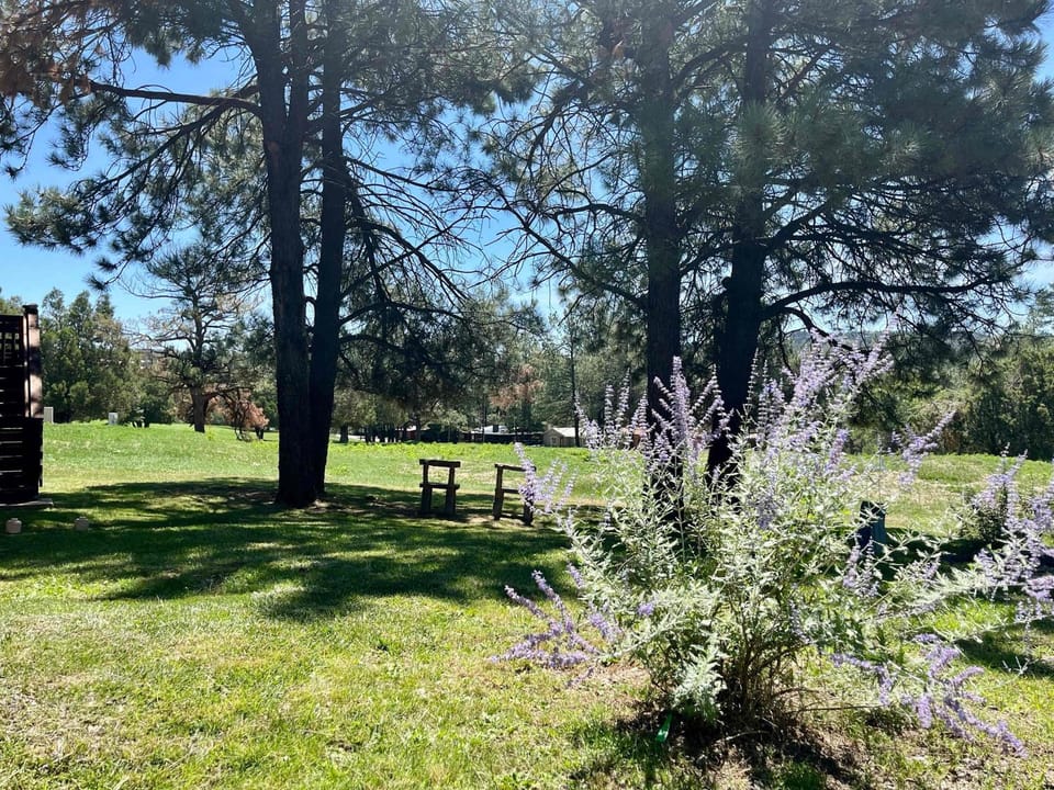 Fairway Hideaway- Your Hideaway in the Pines House in Ruidoso