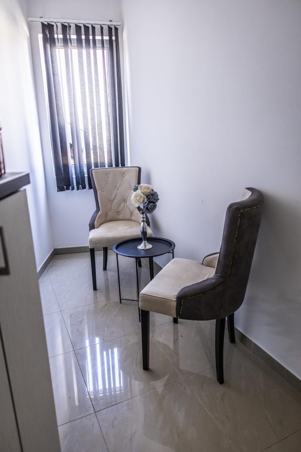 Fenix lux Apartment in Serbia