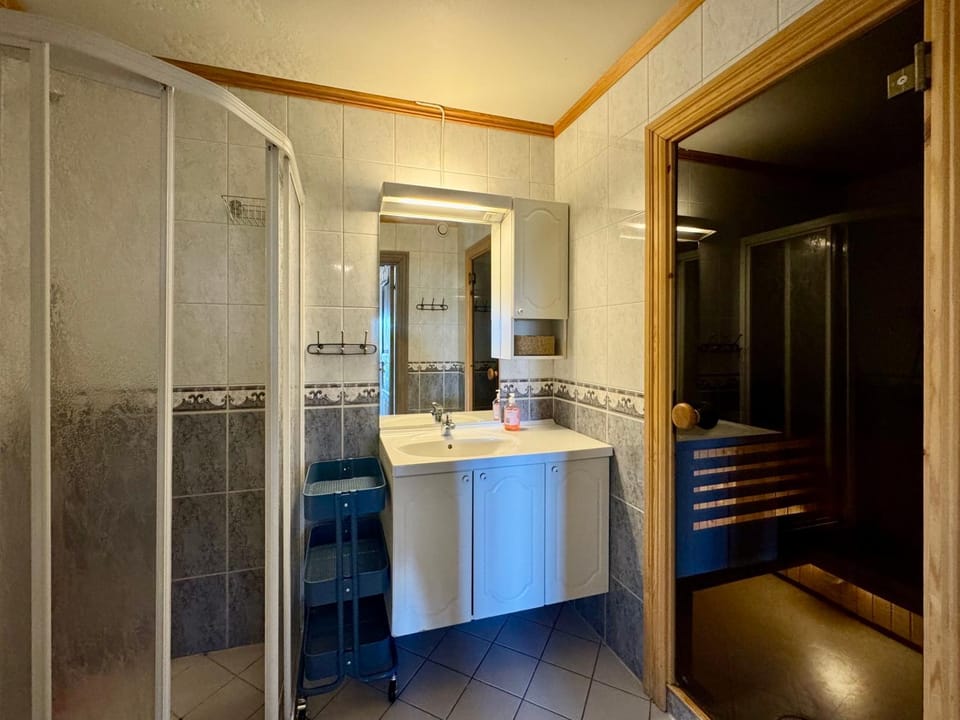 Shower, Sauna, Sauna, Bathroom