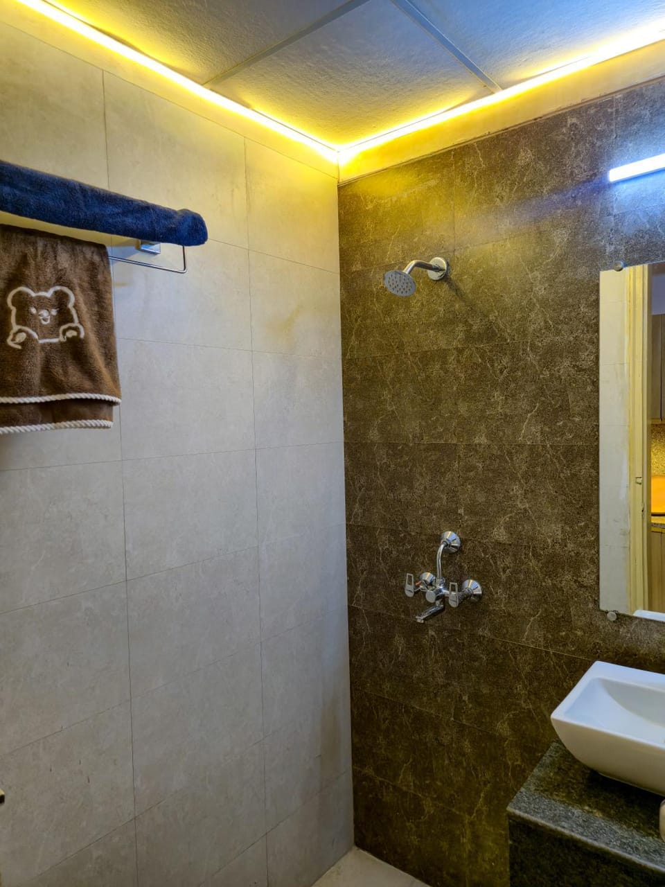 Shower, towels