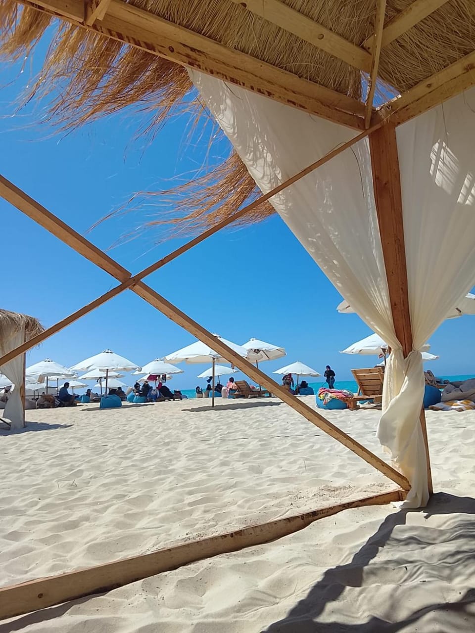 SEACODE Hotel Hotel in Egypt