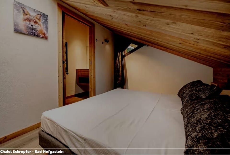 Chalet Schropfer Apartment in Bad Hofgastein