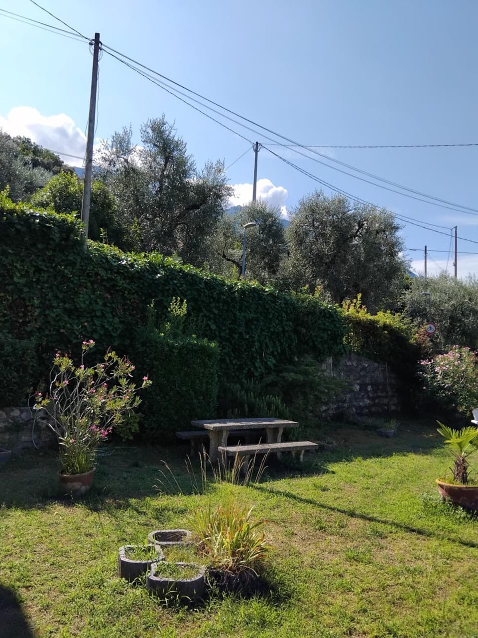 Panoramic Garden with Lake View Studio Apartment in Malcesine