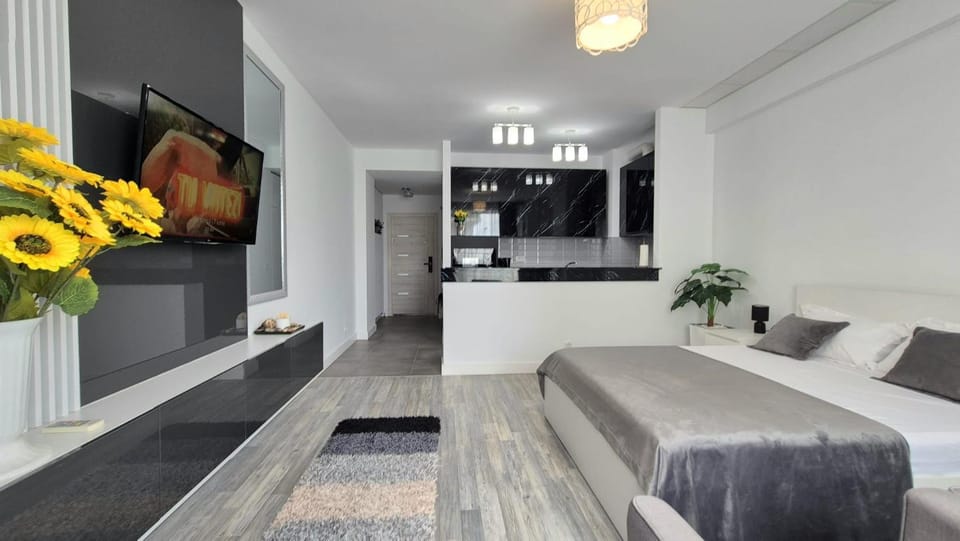 Azzura Studio Onix Apartment in Constanța County