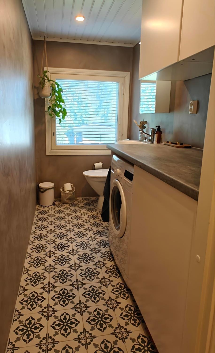 Toilet, washing machine