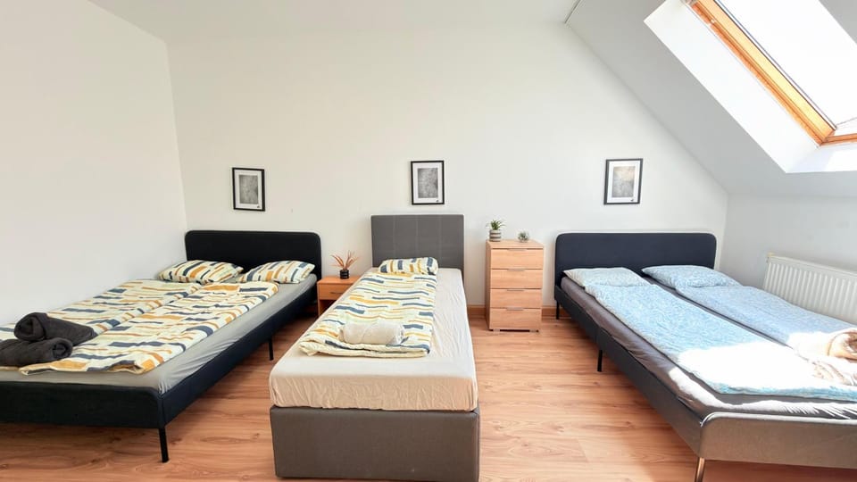 Grand Family Apartment I 11 PAX MZ47 Apartment in Vienna
