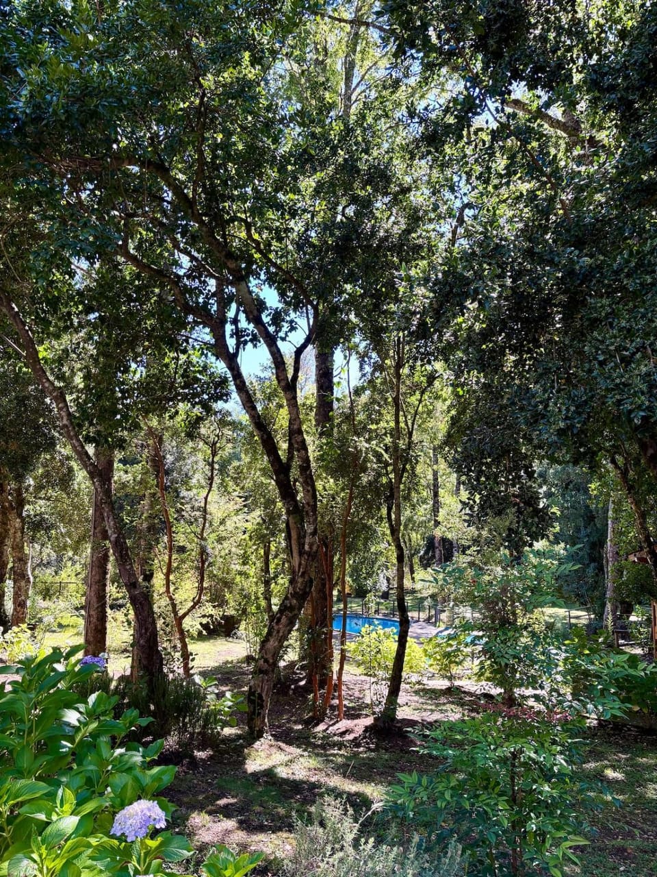 Departamento 3 min del centro y cerca del volcán Apartment in Pucon