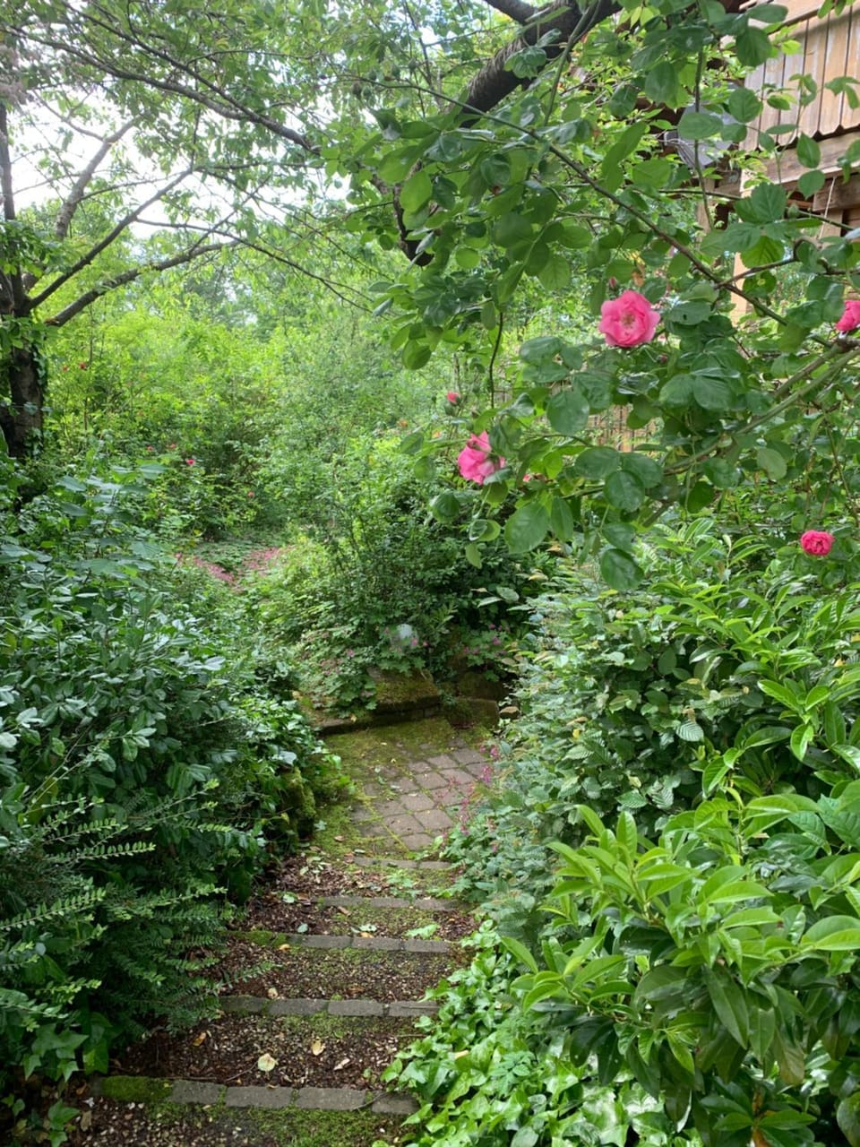 Ruhige Wohnung im Grünen Lichtenwald Apartment in Baden-Württemberg