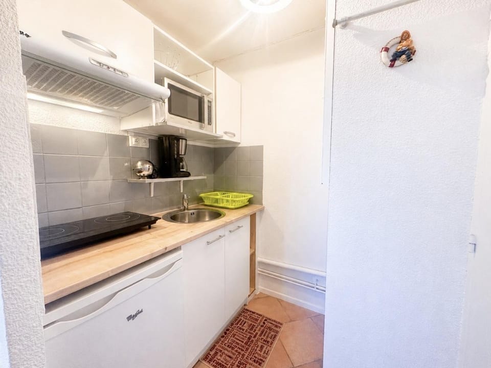 Studio cosy, animaux et parking - 3 pers. - FR-1-338-649 Apartment in Occitanie