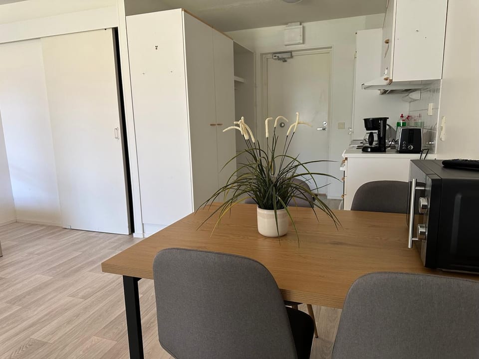 Mysig Lägenhet Apartment in Finland