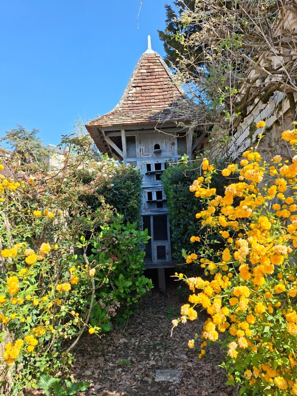 La Maison du Pigeonnier House in Nouvelle-Aquitaine