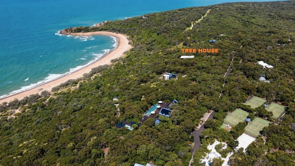 Bird's eye view, Beach, Sea view