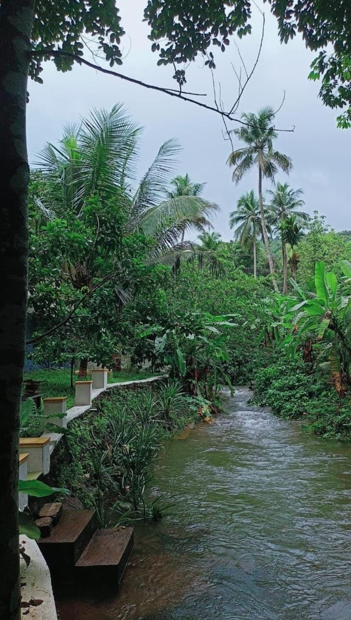 Wooden Nest Homestay Villa in Kerala