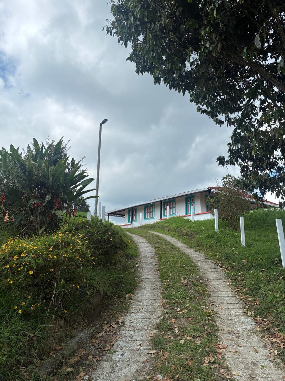 Masinga FarmHouse Farm Stay in Quindio, Colombia