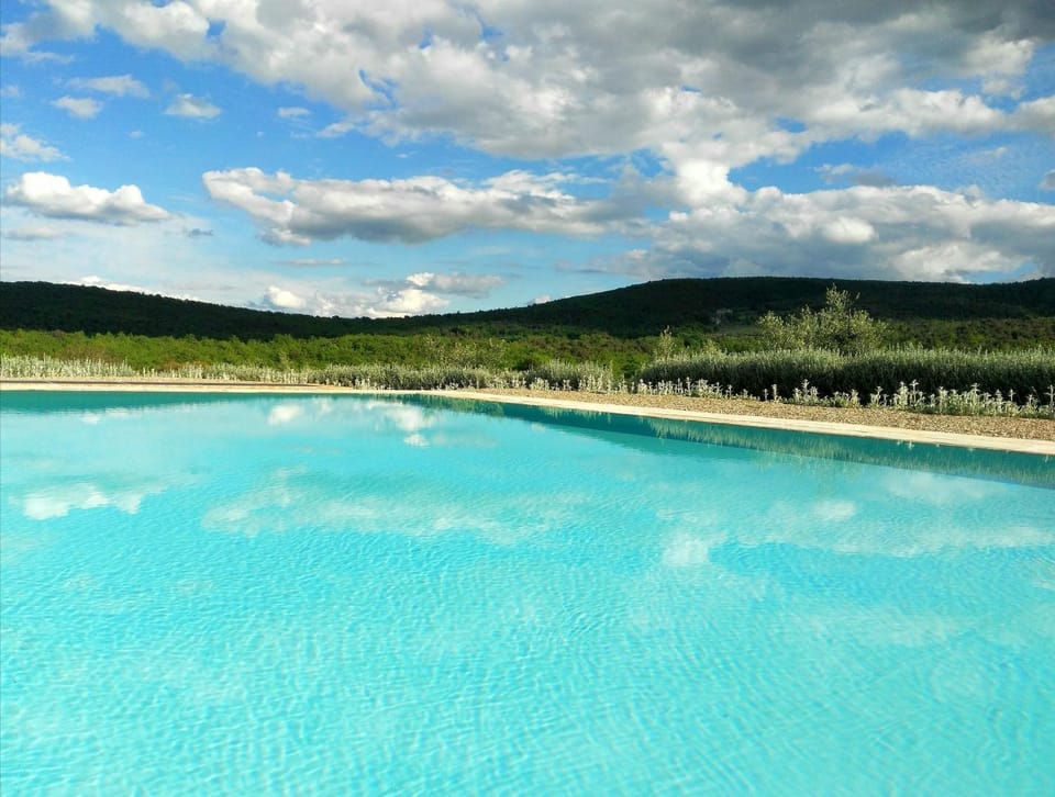 Garden, Pool view, Area and facilities, Swimming pool