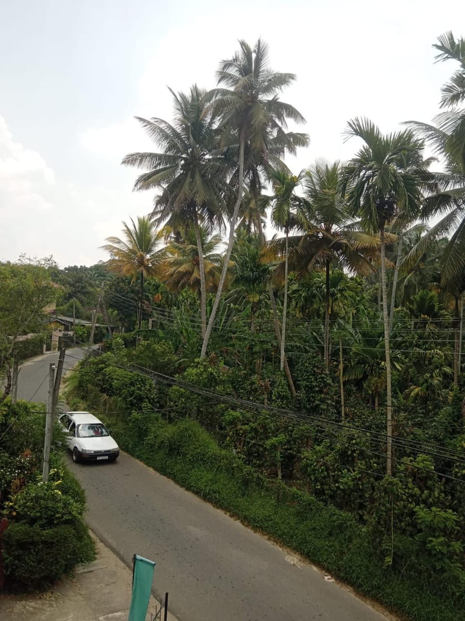 Veiw paddy field home stay Bed and Breakfast in Kandy