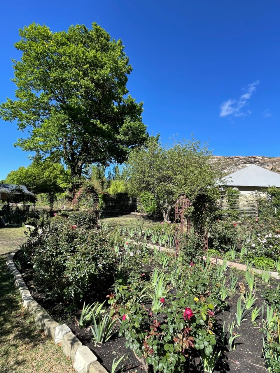 Garden view