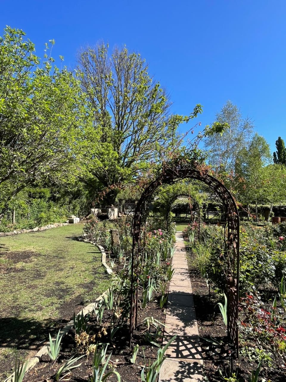 Garden view