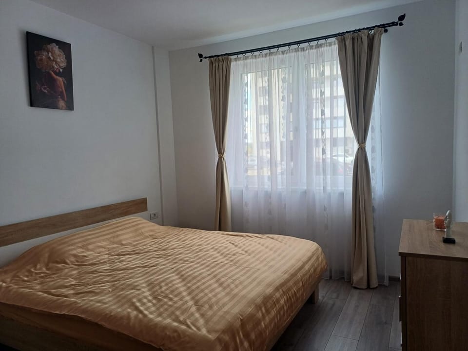 AMA Home Apartment in Romania