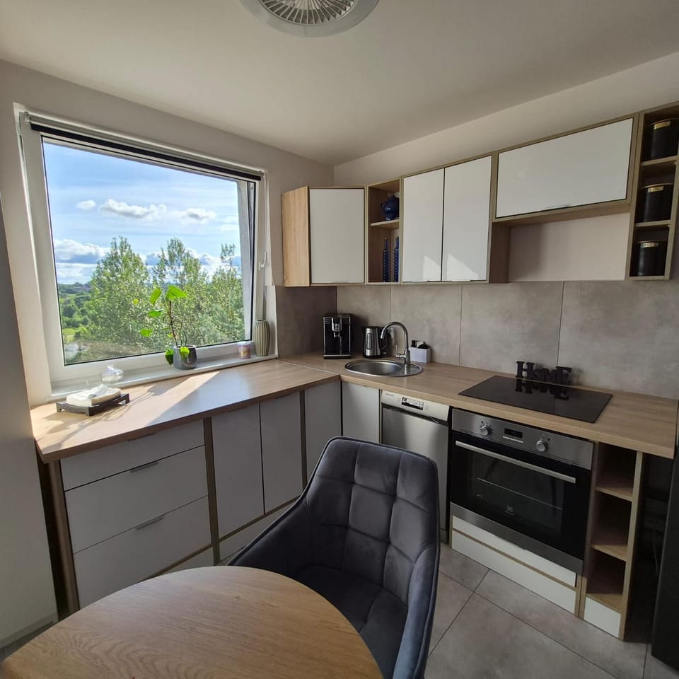 Kitchen or kitchenette, stove, kitchen