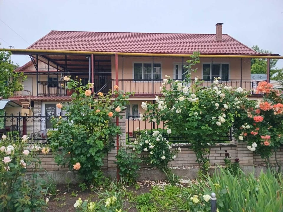 Property building, Garden, Garden view