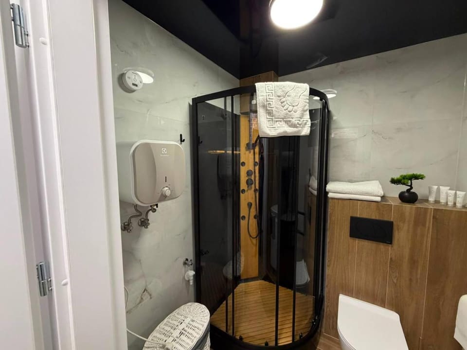 Shower, Toilet, Bathroom, towels